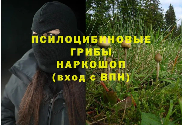 MDMA Горнозаводск