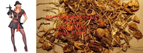 MESCALINE Горно-Алтайск